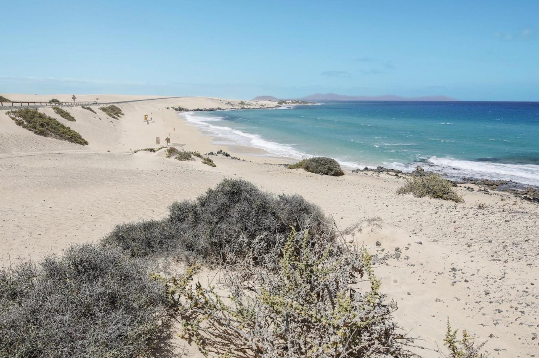 El Cortijo Villa La Oliva Dış mekan fotoğraf
